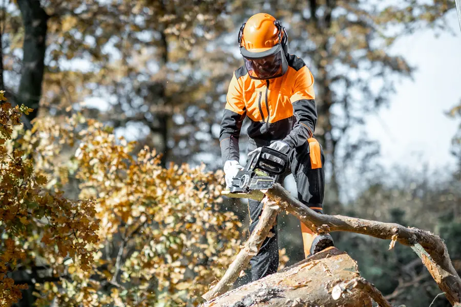 Key Benefits Of Tree Cutting For Your Homes Curb Appeal Amarillo, TX Key Benefits Of Tree Cutting For Your Homes Curb Appeal Amarillo, TX