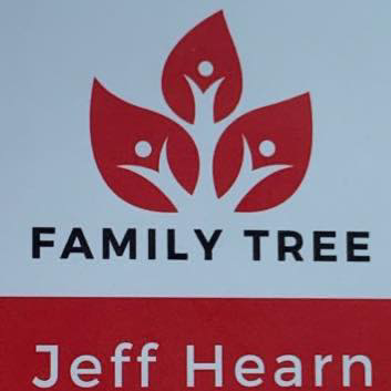 Affordable Tree Service Provider