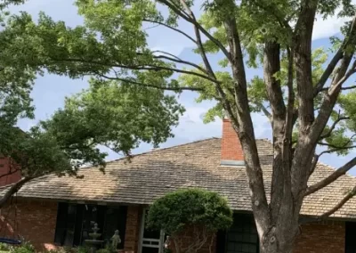 Reliable Tree Company